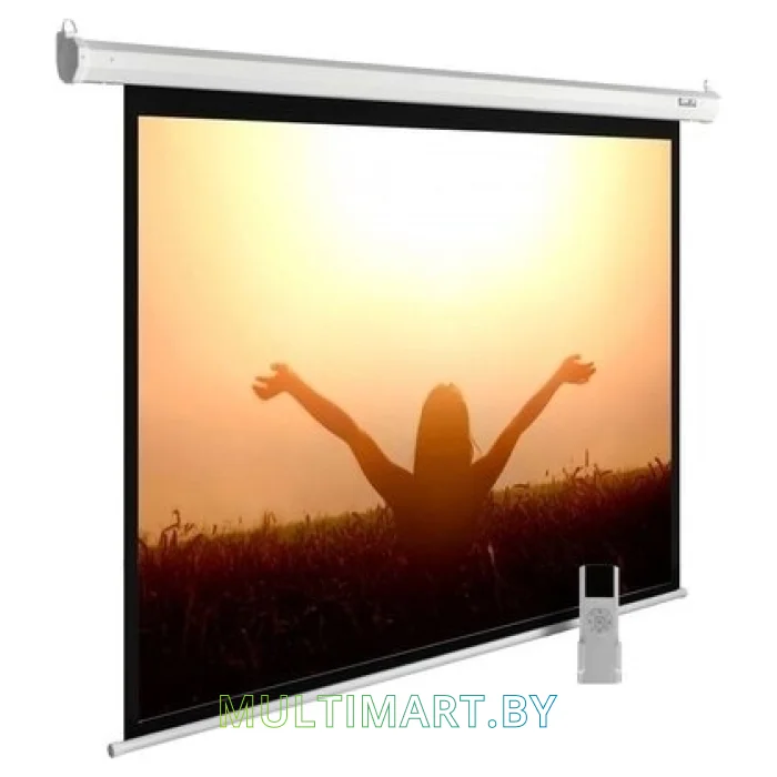 Проекционный экран CACTUS MotoExpert 220x213 (CS-PSME-220x165-WT)